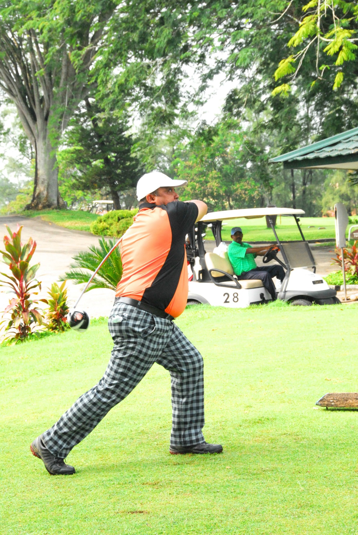 PRO15 157 GOLF DSC 0344.JPG